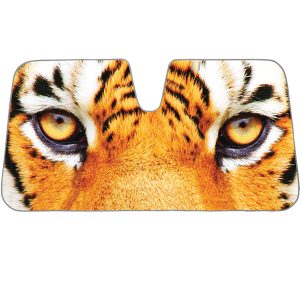 apikey4gaqv0r1lb6kx0vred6g5ebw8vbciysjNO617SP120916U