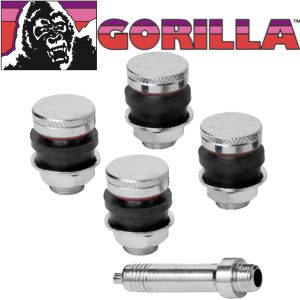 apikey4gaqv0r1lb6kx0vred6g5ebw8vbciysjNO626VS406C