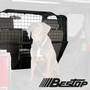 apikey4gaqv0r1lb6kx0vred6g5ebw8vbciysjNO65742502