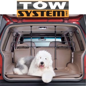 apikey4gaqv0r1lb6kx0vred6g5ebw8vbciysjNO701CB609