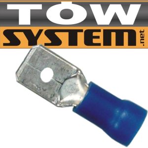 apikey4gaqv0r1lb6kx0vred6g5ebw8vbciysjNO703MG417