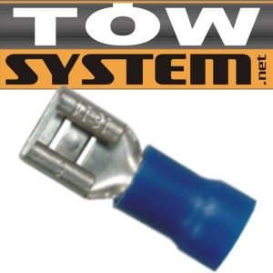 apikey4gaqv0r1lb6kx0vred6g5ebw8vbciysjNO703MG420