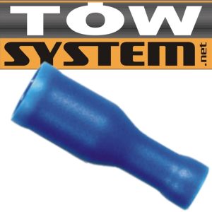 apikey4gaqv0r1lb6kx0vred6g5ebw8vbciysjNO703MG430